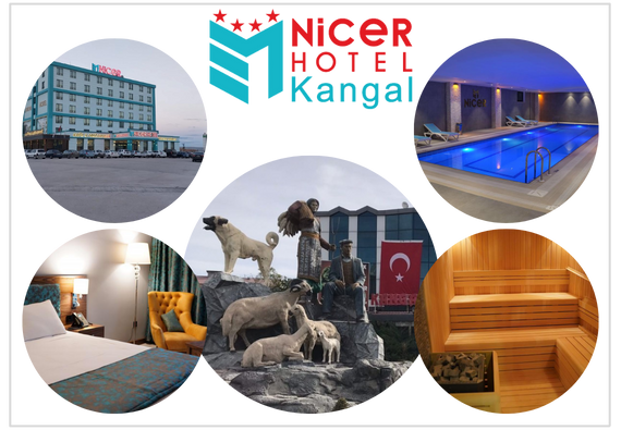 kangal_nicerhotel